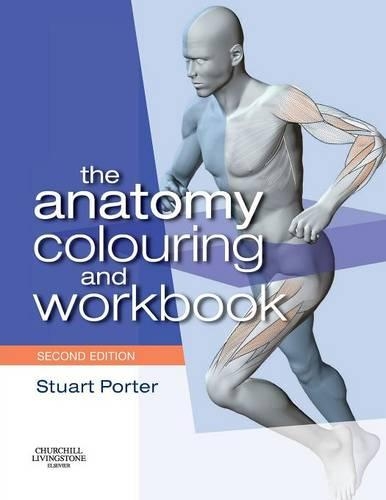 Anatomy Colouring and Workbook, The